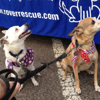 Trying to remain calm before the race starts.