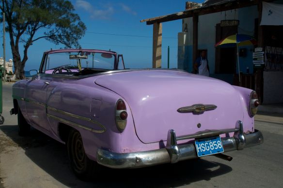 The lavender shade of this car was perfect for the hot sunny days.