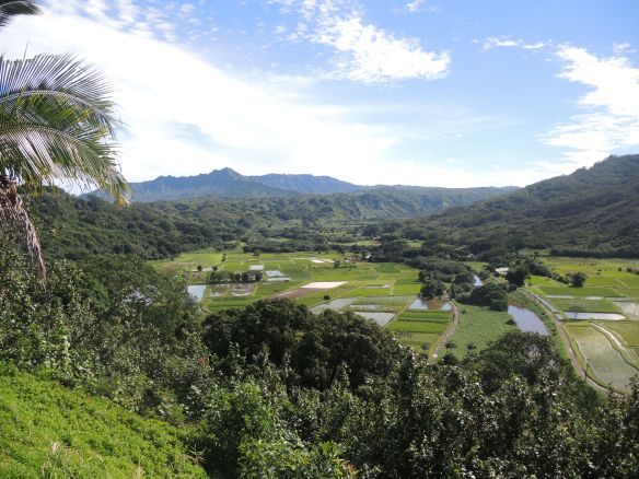 The Hanalei Valley on Kauai's North Shore.