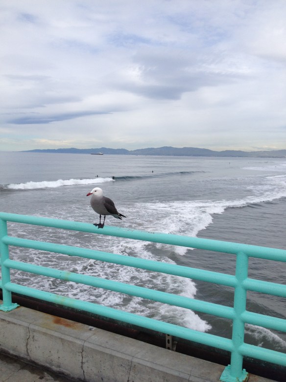 Resting on the Manhattan Beach Pier, January 2015.