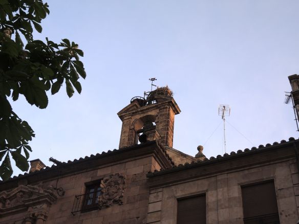 I think these storks have the best "condo" in the city! 