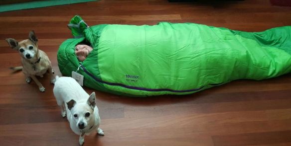LeMans Kiera boys sleeping bag