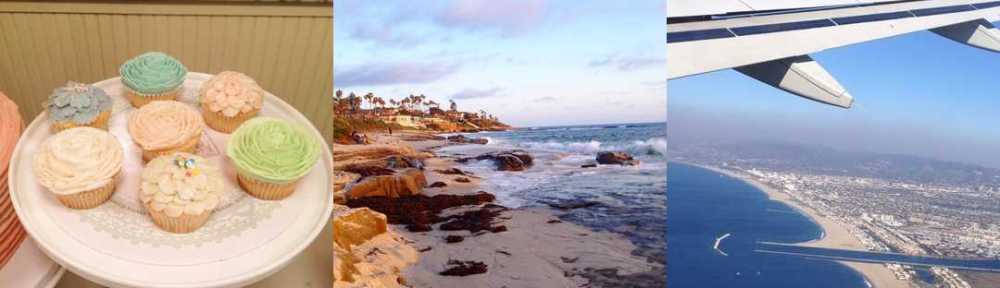 Instagram 2016 Best Nine