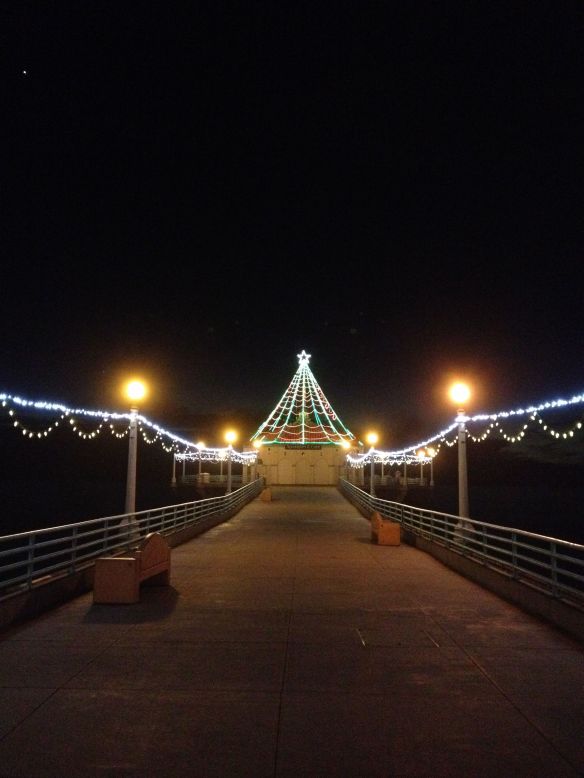 Manhattan Beach Pier Round House Aquarium Christmas tree lights