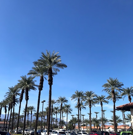 Visit greater Palm Springs hosted us for A Girls Guide to Cars #drive2learn conference